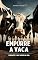 Livro Empurre a vaca: Conquiste o que quiser na vida