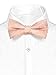 Men's Paisley Pre-Tied Bow Tie - Solid Peach