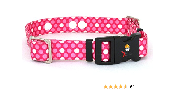 lost invisible fence collar