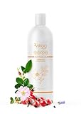 Botanical Hydrating Conditioner, Sulfate Free, 16 oz. - infused w/ Panthenol-Rice Protein-Burdock Extract-Ivy Extract-Fenugreek Extract-Essential Oils