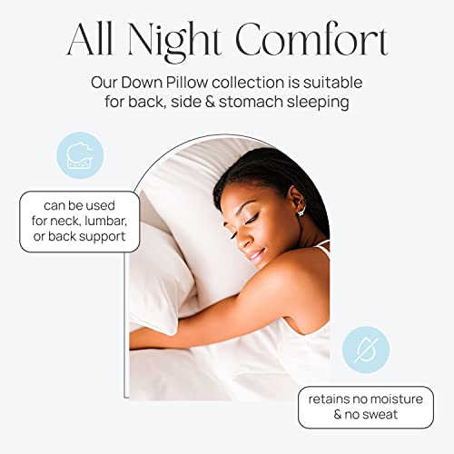 East Coast Bedding Elite European Down Dream Pillow, King, Queen