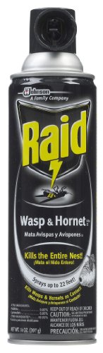 Raid Wasp & Hornet Killer 33 Spray, 14-Ounce