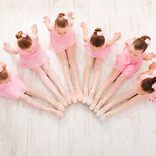 Hicdaw Ballet Leotard Dance Leotard Short Sleeve Ballet Leotard for Girls with Separated Skirt and Dance Tight Pink
