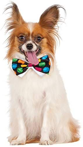 Rubies Costume Company Polka Dot Pet Bowtie