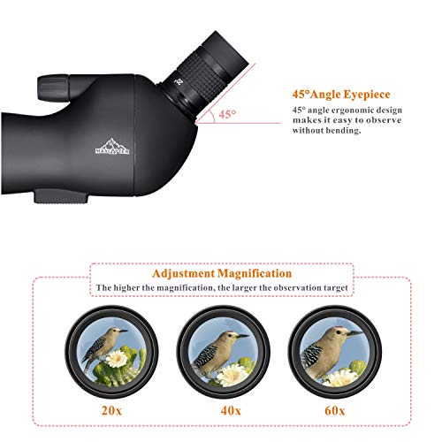 BEBANG 20-60x60 Spotting Scope for Bird Watching, Waterproof Zoom Scope with high Definition, FMC Coated Optical Lens, for Target Shooting, with a Tripod, Smartphone Adapter, Canon Camera Adapter