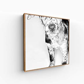 Canvas Wall Art for Living Room, Bedroom Portrait Framed Canvas Prints for Home Decoration Ready to Hang - 16x16 inches