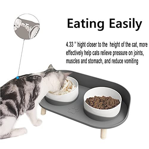 Elevated Cat Food Bowls with NoSpill Design, Raised Ceramic Cat Dog