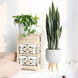 Worth Garden 3ft Artificial Snake Plant Fake