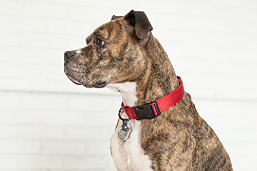 FreezeTag Dog Tag Silencer and Connector, One Size, Graphite