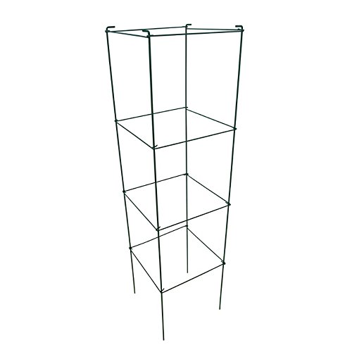 MTB Green Square Folding Tomato Cage Plant Support Tower 12 inch by 46 inch, Pack of 5 Sets