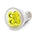 RubyLux Amber Yellow LED Bulb Size Small