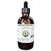 Cilantro Alcohol-Free Liquid Extract, Organic Cilantro (Coriandrum Sativum) Dried Leaf Glycerite Hawaii Pharm Natural Herbal Supplement 2 oz