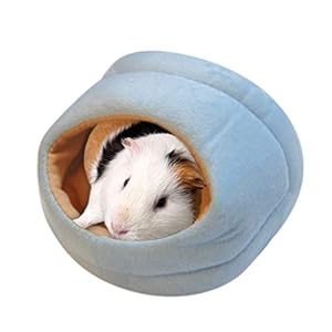 Xmiral Gatti Letto Cani Letto Animale Letto Lettini Cani Cuccia Cane Morbida Cuccia Pet Cuscino Cuscino Cane Cuscino…