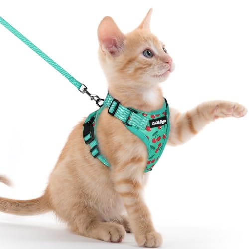 Rabbitgoo Cat Harness and Leash Set