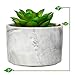 Porcelain Glossy Marble Vase + The Fake Potted Plants Stunningly Realistic Vibe┃Pre-Filled Fake Succulent Plants in Pot┃Fake Desk Plant is Perfect for Sprucing Up The Bathroom