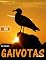 Livro Gaivotas [estendido]
