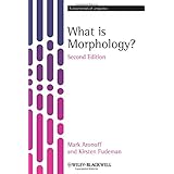 What is Morphology?