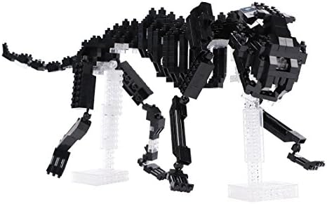 Dinosaur Model Building Blocks, DAXIN DX Dinosaur Skeleton Model Diamond Blocks Dinosaur Modeling Toys for Kids Adults, Bright Colors, Anti-Anxiety, Puzzle, 580pcs (Black)