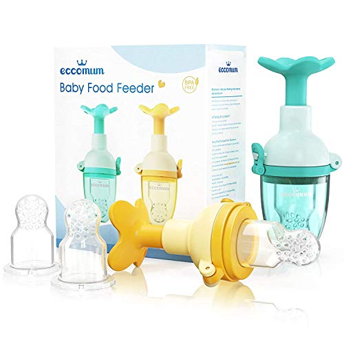 Baby Food Feeder Pacifier 2 Pack, Fresh Fruit Baby Teething Toy