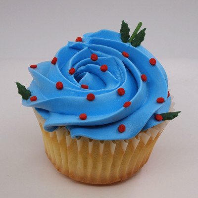 Natural Green & Red Gluten GMO Nuts Dairy Soy Free confetti Christmas Holly & Berries