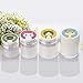 Kitten Stickers Cute Stickers for Kids for Envelope Sealing Greeting Cards Party Classroom Kids Rewards Sticker