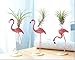 Selbst Air Plant Stand, Flamingo Airplant Container Tabletop Planter Air Plant Holder Metal Display Racks for Hanging Big Air Plants Tillandsiathumb 3