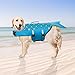 BINGPET Dog Life Jacket with Reflective Stripes - Pet Life Vest for Swimming – Adjustable Dog Saver Life Jacket Large