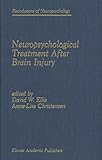 Neuropsychological Treatment After Brain Injury (Foundations of Neuropsychology) by 