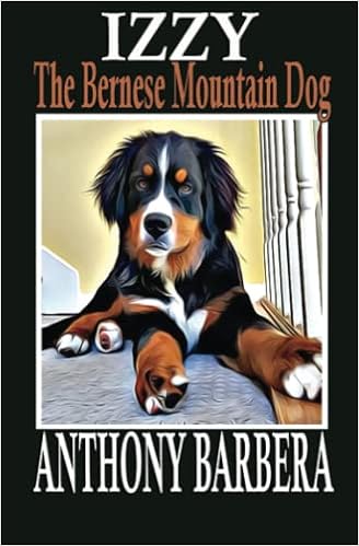 amazon bernese mountain dog