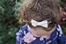 3 Pack Classic Girl Bows on Nylon Headband (Small, Chambray/Tan/Purple Floral)