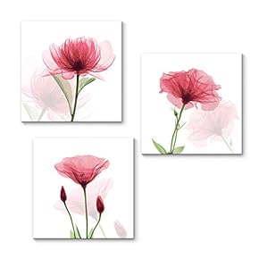 Canvas Wall Art Transparent Beautiful Flowers...