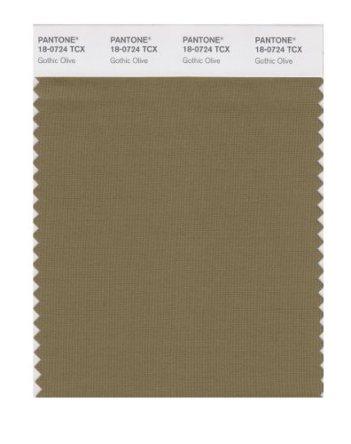 PANTONE SMART 18-0724X Color Swatch Card, Gothic Olive