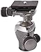 Gitzo GH1382TQD Center Ball Head Series 1 Traveler with Quick Release D (Black)