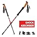 ETROL Trekking Poles-Adjustable Walking Sticks-Collapsible, Quick Lock-2pc Pack, Strong, Lightweight Aluminum 7075, Cork Grip, Tips, Padded Strap, Bag Hiking Poles for Men & Women