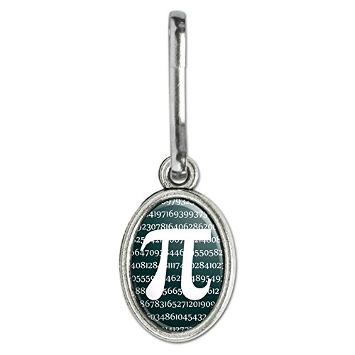 Pi Math Geek Nerd 3.14 Antiqued Oval Charm Clothes Purse Suitcase Backpack Zipper Pull Aid
