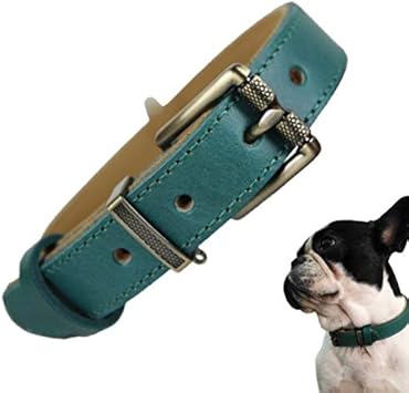 Amazon Beanspet 犬 ベーシック 首輪 犬首輪 革 おしゃれ かわいい 本革 犬の首輪 いぬ くびわ 犬用品 S グリーン ビーンズペット Beans Pet ベーシック首輪 通販