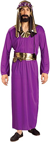 Forum Novelties Men's Biblical Times Wise Man Costume