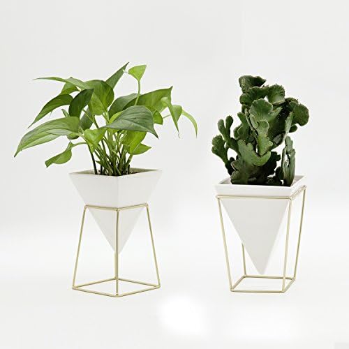 DEFNT Modern Style Desktop Planter Vase &amp; Geometric Container - Great For Succulent Plants, Air Plant, Herbs Cactus Plants, Faux Plants and More, White Ceramic/Brass