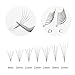 Quewel Lash Russian Volume Eyelash Extensions 3D 4D 5D 6D Curl C/D Length 8-15 mm Short Thickness 0.07/0.10 mm Premade Fans Soft Volume Eyelashes (5D-0.07-D, 10mm)
