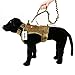 Yisibo Tactical Harness Dog Collar K9 Adjustable Nylon ID Dog Collar With Metal Buckle/V-ring + Training Stretchable Bungee Dog Leash (adjustable 16