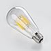 GEZEE 10W Edison Style Vintage LED Filament Light Bulb, 100W Incandescent Replacement,Warm White 2700K,1000LM, E26 Medium Base Lamp, ST21(ST64) Antique Shape, Dimmable(3-Pack)