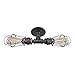Ceiling Light Double