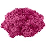 Reindeer Moss Preserved | Pink Moss | For Fairy Gardens, Terrariums, or any Craft or Floral Project | Nautical Crush Trading TM (2 Ounces)