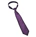 Coxeer New Striped Plum Purple Men's Tie Formal Suit Necktie Wedding Holiday Gift