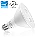LE PAR38 Dimmable LED Bulb 15W (100W Equivalent) 1150lm 5000K Daylight White E26 Base Flood Light Spotlight, Pack of 4