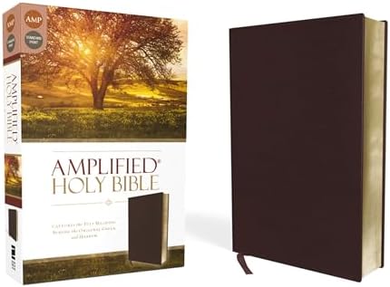 アート・デザイン・音楽 HOLY BIBLE MACK AMC アート・デザイン・音楽 HOLY BIBLE MACK AMC The Holy Bible,Manic