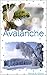 Avalanche (French Edition) by 
