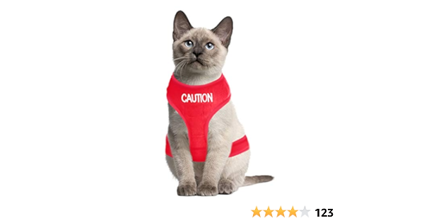 dexil cat harness