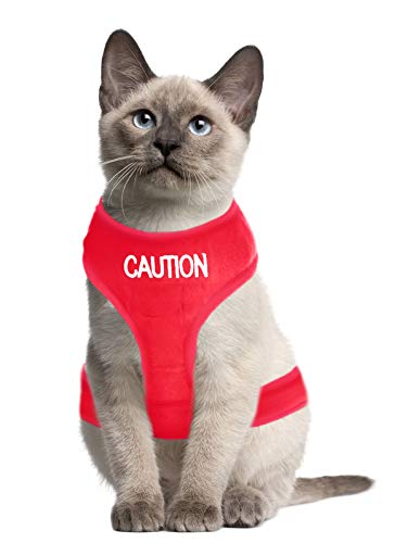 Dexil Colour Coded Cat Harness Warning Alert Vest Padded and Water Resistant Red CAUTION (S-M)