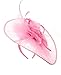 C.C Cocktail Fashion Sinamay Fascinator Hat Feather & Flower Design S102450, Pink